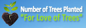 Trees Planted For Love Trees